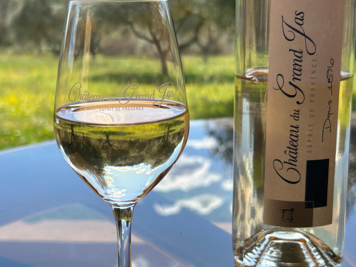 Chateau Du Grand Jas Entrecasteaux Eksteriør billede