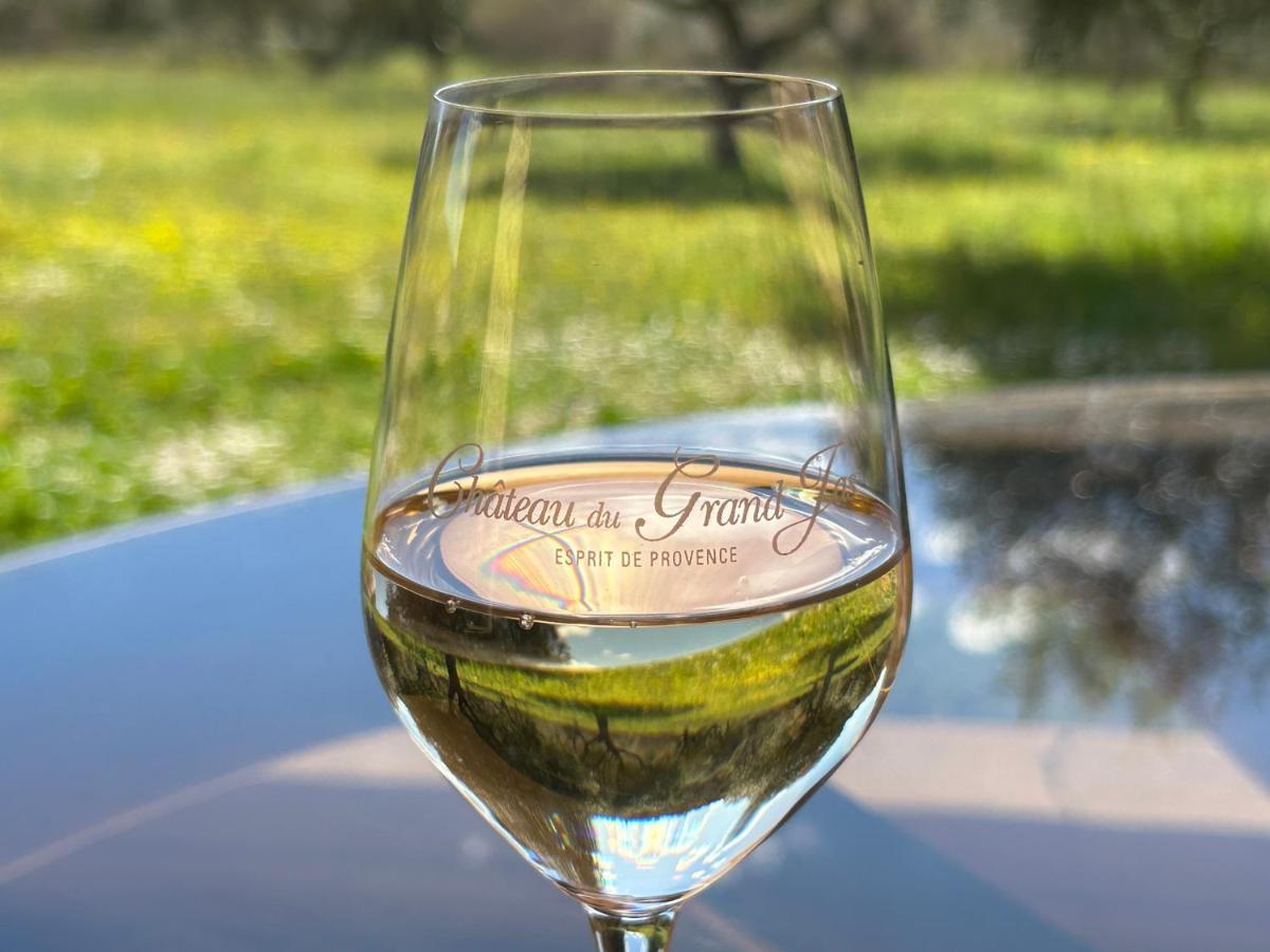 Chateau Du Grand Jas Entrecasteaux Eksteriør billede