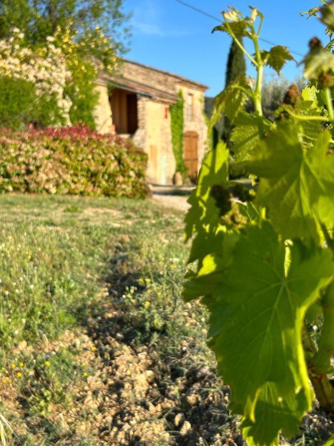 Chateau Du Grand Jas Entrecasteaux Eksteriør billede